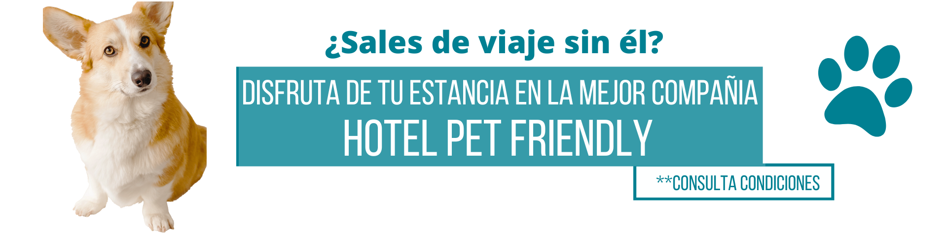 Hotel pet friendly 1920x475